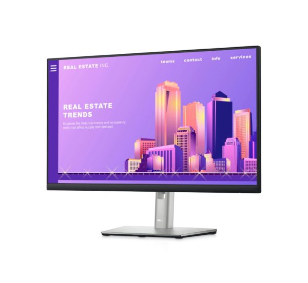 Dell P2422H